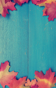 Blue Wood With Red Leaves