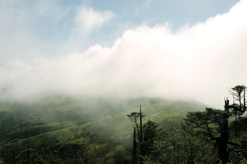 Landscape view of Green Vallery surrounded with cloudss