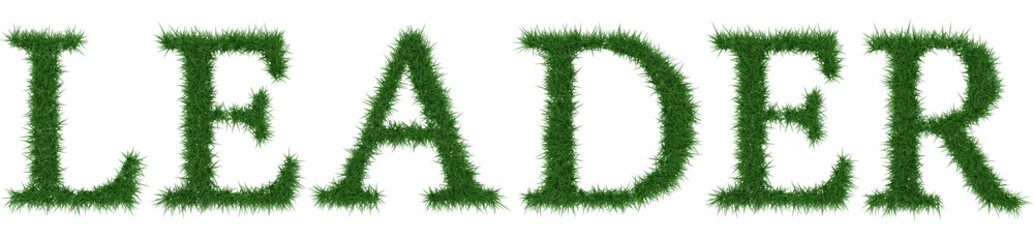 Leader - 3D rendering fresh Grass letters isolated on whhite background.