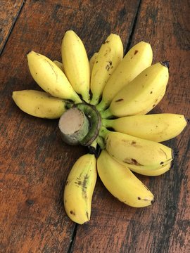 Musa sapientum or Musa acuminata or Plantain banana.