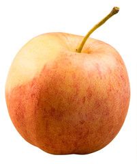 ripe apple on a white background