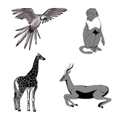 Vector illustration. Set of animals, parrot, giraffe, monkey, gazelle. Black, white, gray.