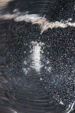 vendange vinification vin