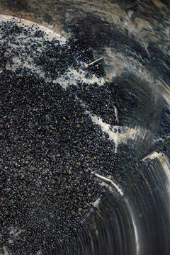 vendange vinification vin