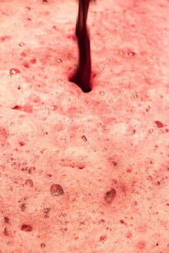 vendange vinification vin