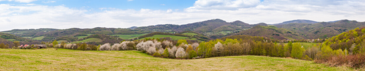 Blooming trees and the panorama of the mountains