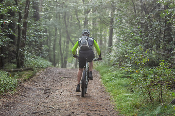 Mountenbiker im Teutoburger Wald