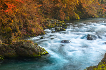 Crystal water of mountain creek  in Nikko, Tochigi, Japan