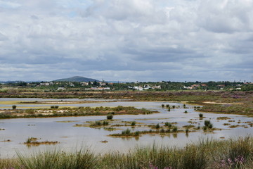 Fototapeta na wymiar Marschlandschaft im Naturschutzgebiet Ria Formosa