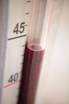 vendange vinification vin