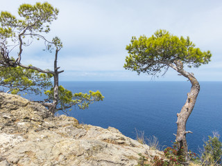 Obraz na płótnie Canvas Beautiful seascape, rocky cosat in Majorca island, Mediterranean Sea.