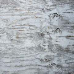 part of plywood panel with peeling light blue paint