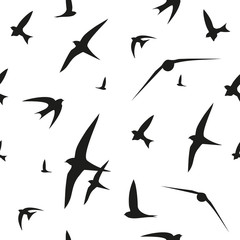 Swallow, swift, birds. Graphic vector pattern. Decorative seamless background