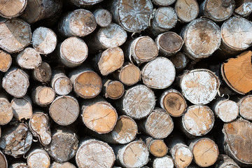 Closeup of cut firewood, natural wood background