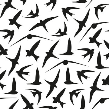 Swallow, swift, birds. Graphic vector pattern. Decorative seamless background