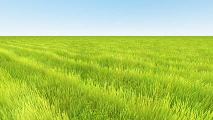 Obraz premium landscape green grass and clear sky 3D render