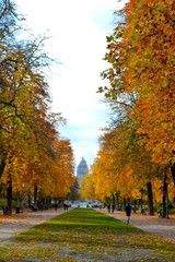 Naklejka premium Bruxelles