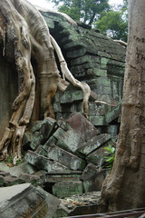 Fototapeta na wymiar Khmer-Tempel Preah Khan in Angkor überwuchert von Würgefeigen