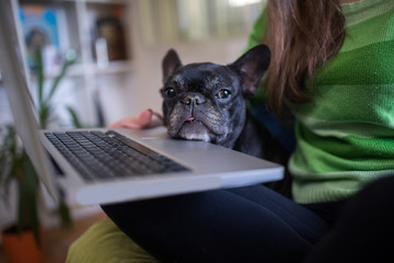 Woman and dog
