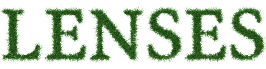 Lenses - 3D rendering fresh Grass letters isolated on whhite background.