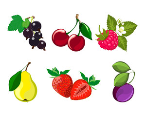 Set of ripe fruit and berries (cherries, pears, plums, strawberry, black currant, raspberry).Vector image.