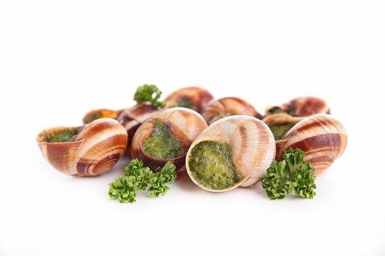 french dish,bourgogne escargot