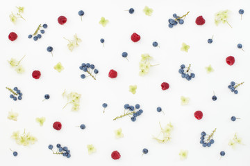 seasonal pattern of berries, Hydrangea flowers, raspberry