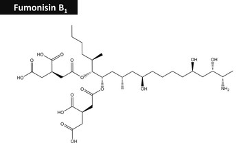 Molecular structure of Fumonisin B1