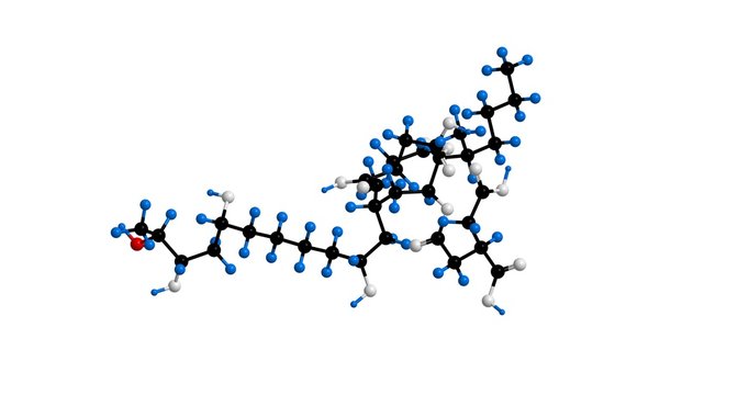 Molecular structure of Fumonisin B1
