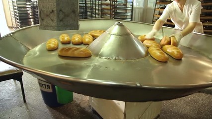 Stacking bread from conveyor on the shelves. Bakery job. Unloading of bread from the conveyor. Worker takes bread from the bakery conveyor. Delivery of white bread. Manufacture of bakery products.