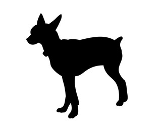 black silhouette of a small dog