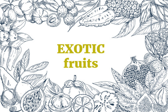 exotic fruits, landscape frame