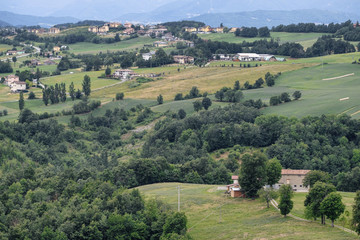 Naklejka premium Summer landscape near Serramazzoni (Modena, Italy)