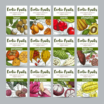 Set of 12 exotic fruits posters