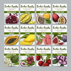 Set of 12 exotic fruits posters
