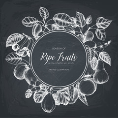 Vintage card design with hand drawn fruit and berries illustration on chalkboard