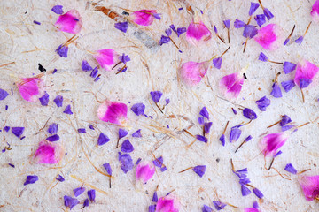 Petal of flowers on paper background