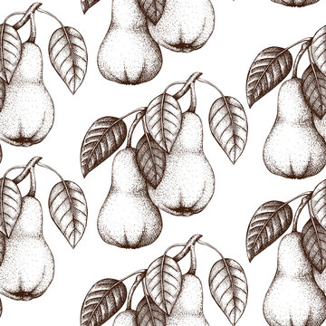 Vector seamless pattern with vintage pear tree illustration