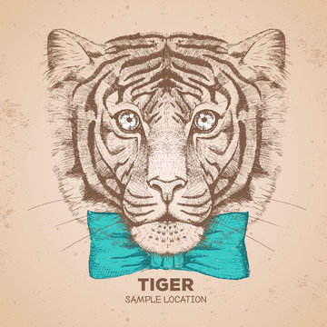 Hipster animal tiger. Hand drawing Muzzle of tiger