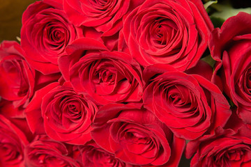 Natural red roses background. Symbol of love.