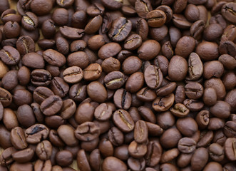 Coffee grains close-up.