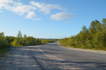 The road is surrounded by bushes in the fall. Blue sky and clouds.
