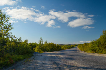 The road is surrounded by bushes in the fall. Blue sky and clouds.