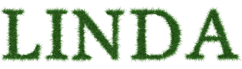 Linda - 3D rendering fresh Grass letters isolated on whhite background.