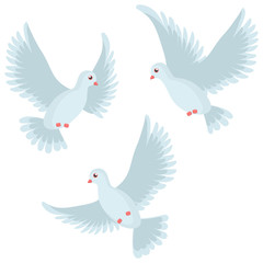 Vector illustration of beautiful shiny white dove flying way up. Vector illustration isolated on white background