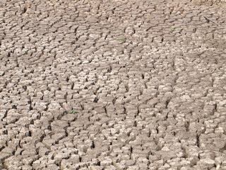 Barren ground horizontal