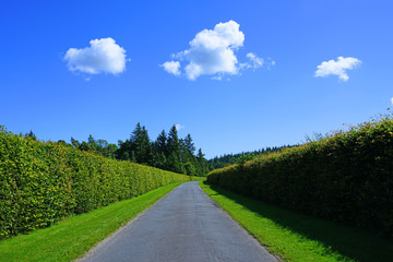 Fototapeta premium Driving on the road on the Isle of Arran, Scotland