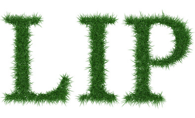 Lip - 3D rendering fresh Grass letters isolated on whhite background.