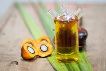 Palm Oil