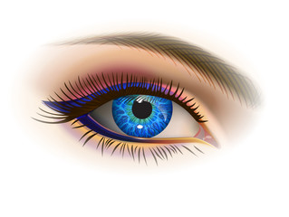 Female blue eye/ Blue female eye and makeup. Realistic vector image